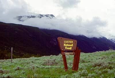 Custer National Forest Custer National Forest