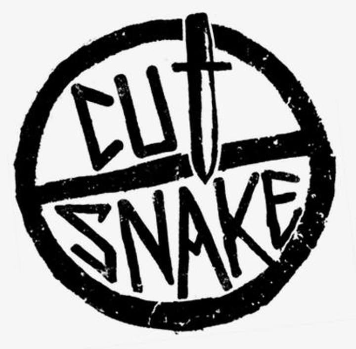 Cut Snake (band) httpss3amazonawscombitphotoslarge6979204jpeg