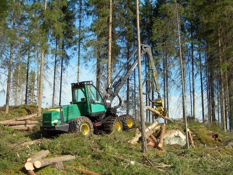 Cut-to-length logging