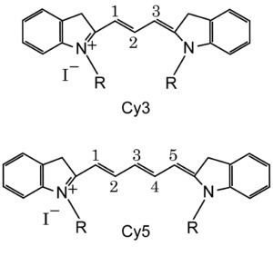 Cyanine httpsuploadwikimediaorgwikipediacommonsthu