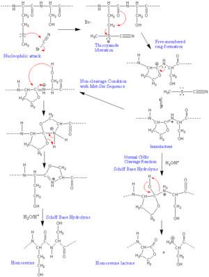 Cyanogen bromide Cyanogen bromide Wikiwand