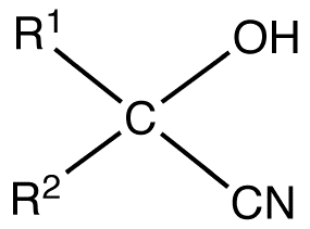 Cyanohydrin Cyanohydrin OChemPal