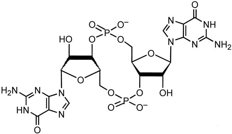 Cyclic di-GMP cdiGMP 35Cyclic Diguanylic Acid Inhibits Staphylococcus