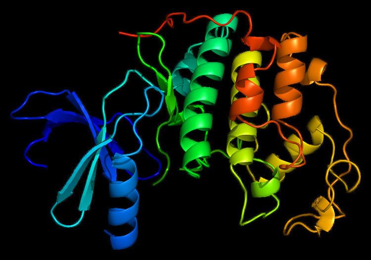 Cyclin-dependent kinase 2