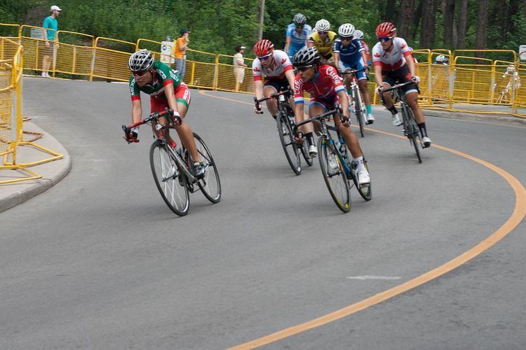 Cycling at the 2015 Pan American Games – Women's road race