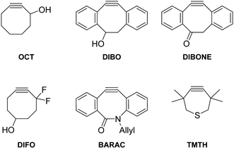 Cycloalkyne Diazo compounds as highly tunable reactants in 13dipolar