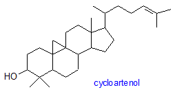Cycloartenol Plant Sterols AOCS Lipid Library