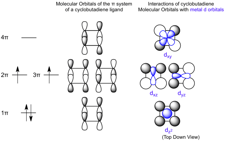 Cyclobutadiene Interactions between Cyclobutadiene Molecular Orbitals and Metal d