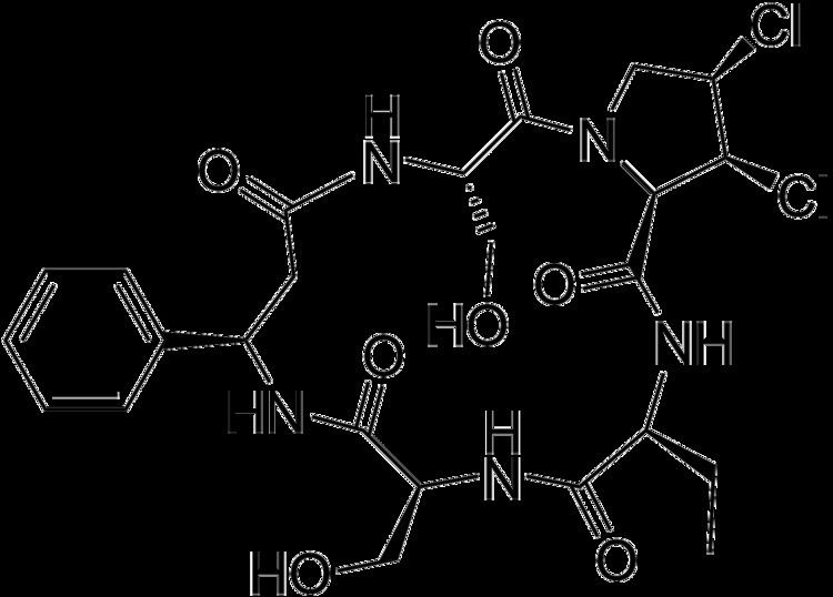 Cyclochlorotine httpsuploadwikimediaorgwikipediacommons55