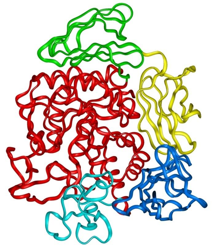 Cyclodextrin glycosyltransferase