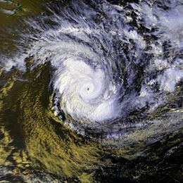 Cyclone Bola httpsuploadwikimediaorgwikipediacommonsthu