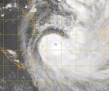 Cyclone Gene httpsuploadwikimediaorgwikipediacommonsthu