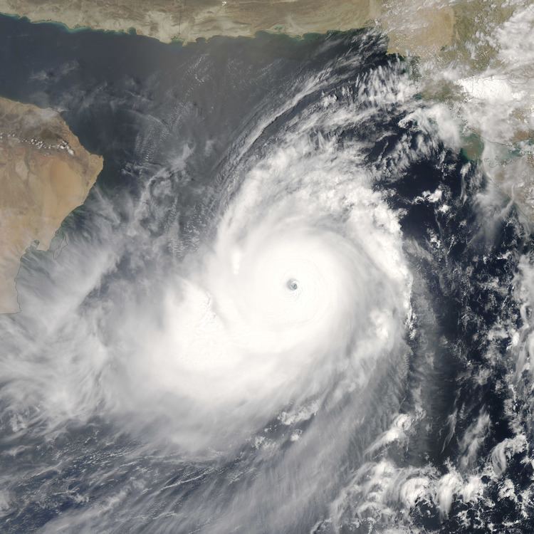 Cyclone Gonu Tropical Cyclone Gonu Image of the Day