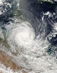 Cyclone Larry httpsuploadwikimediaorgwikipediacommonsthu