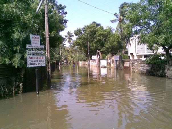 Cyclone Nisha (2008) Pictures of Cyclone Nisha Flooding in Jaffna