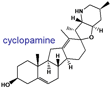 Cyclopamine Research