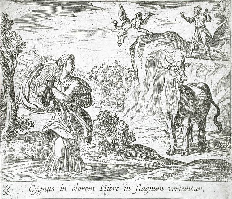 Cycnus FileCycnus and Hyrie LACMA 6537149jpg Wikimedia Commons