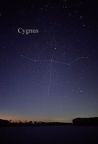 Cygnus (constellation) httpsuploadwikimediaorgwikipediacommonsthu