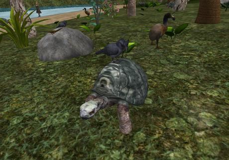 Cylindraspis Second Life Marketplace Mauritius Giant tortoise Cylindraspis