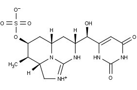Cylindrospermopsin Cylindrospermopsin Beagle Bioproducts