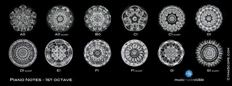 Cymatics Musicology Cymascope Research