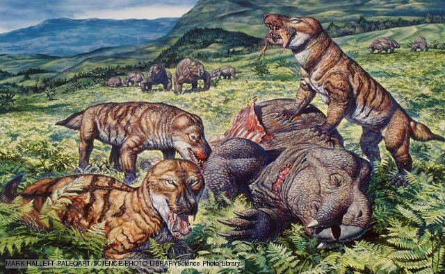 Cynodont - Alchetron, The Free Social Encyclopedia