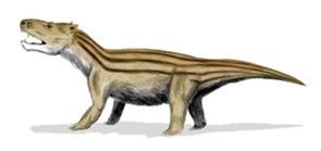 Cynognathus was the largest predatory cynodont of the Triassic.