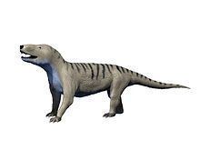 Life reconstruction of Cynognathus crateronotus