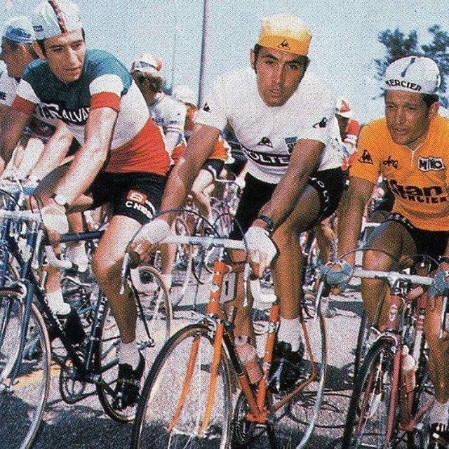 Cyrille Guimard Felice Gimondi Eddy Merckx Cyrille Guimard The Barelli