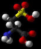Cysteic acid httpsuploadwikimediaorgwikipediacommonsthu