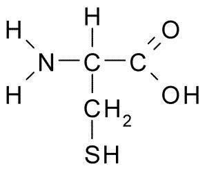 Cysteine Molecules cysteine