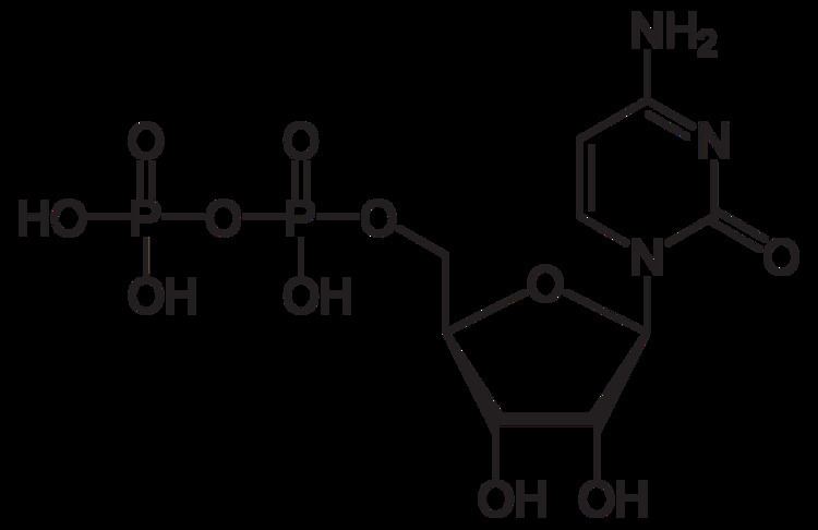 Cytidine Cytidine diphosphate Wikipedia