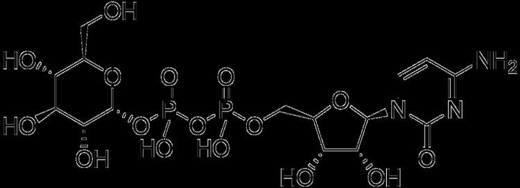 Cytidine diphosphate glucose