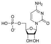 Cytidine monophosphate httpsuploadwikimediaorgwikipediacommonsthu