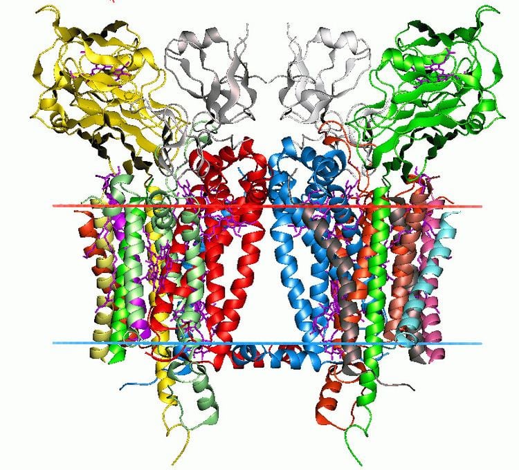 Cytochrome b6f complex