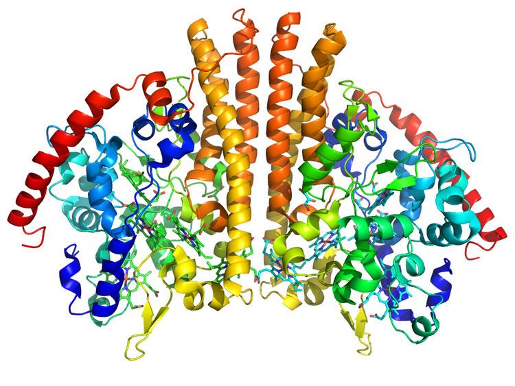 Cytochrome c nitrite reductase