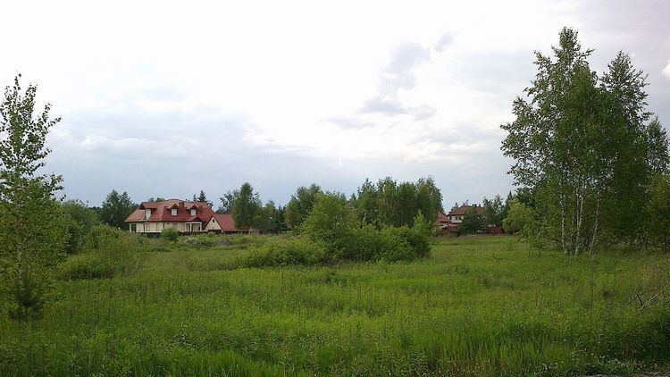 Czarnów, Piaseczno County