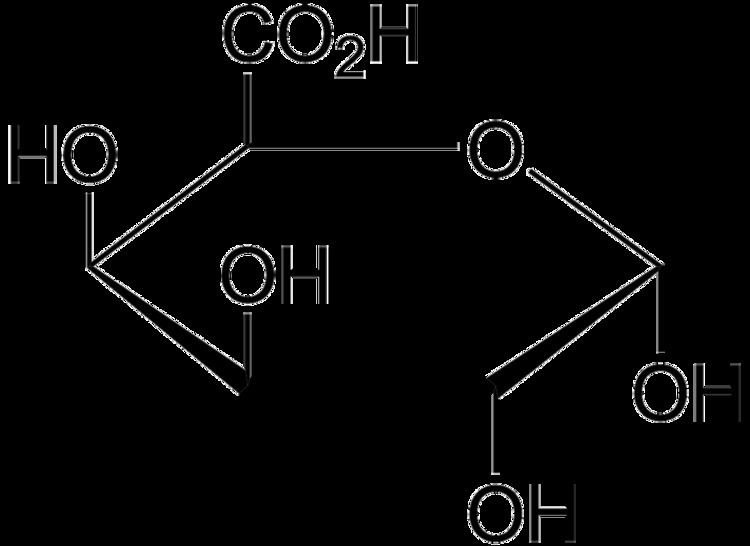 D-Galacturonic acid DGalacturonic acid Wikipedia