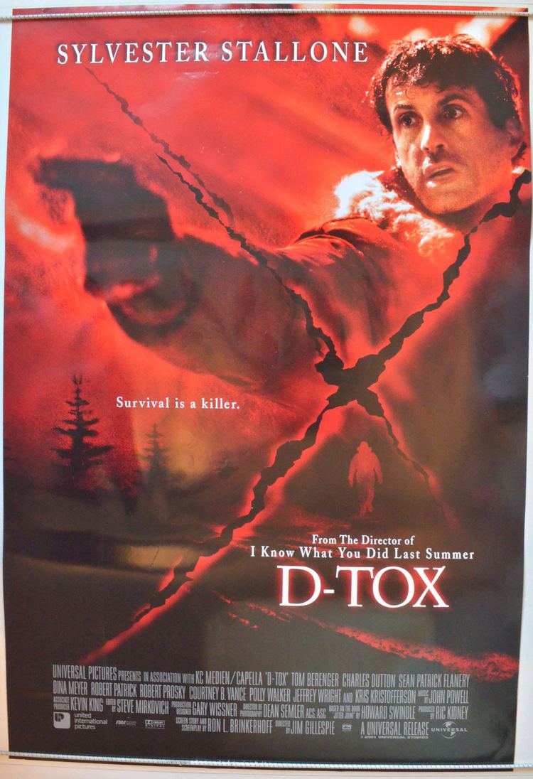 D-Tox DTox Original Cinema Movie Poster From pastposterscom British