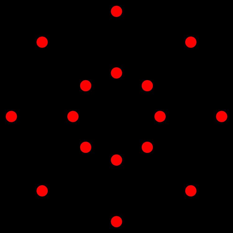 D5 polytope