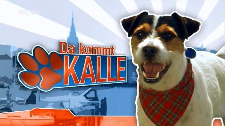 Da kommt Kalle Folge 1 Da Kommt Kalle Der Neue Staffel 3 YouTube