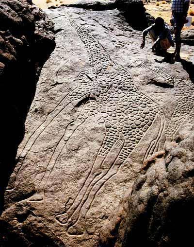 Dabous Giraffes Ancient Giraffe Rock Carving Dabous Niger Africa