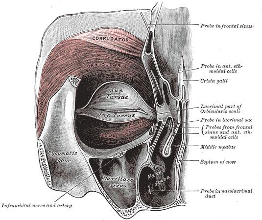 Dacryocystorhinostomy