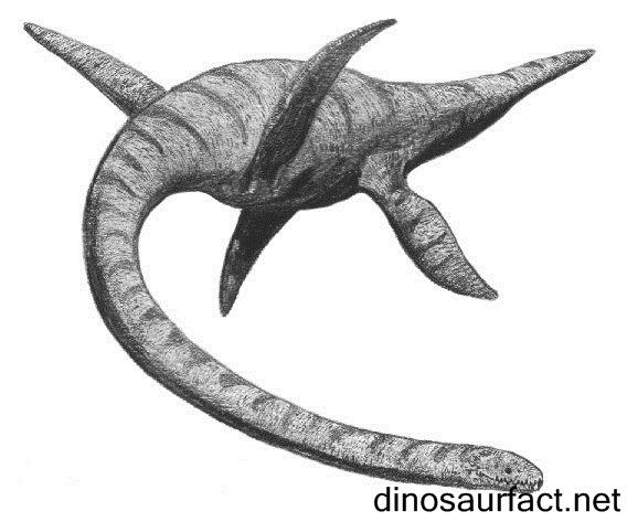 Dactylosaurus Dactylosaurus dinosaur