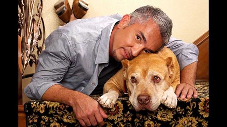 Daddy (dog) Tribute to Daddy Cesar Millans beloved dog amp Junior his heir