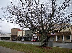 Dadeville, Alabama httpsuploadwikimediaorgwikipediacommonsthu