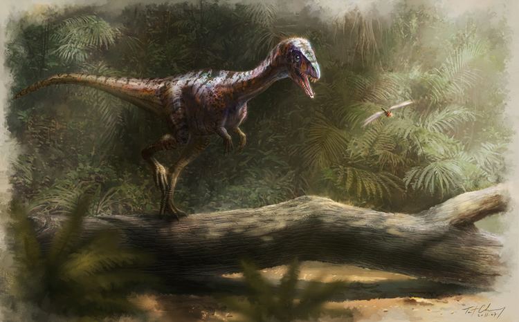 Daemonosaurus PALEONTOLOGICAL STUDIES OF SOUTH CAROLINA Daemonosaurus