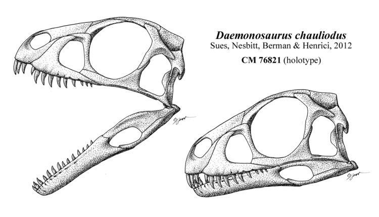 Daemonosaurus Daemonosaurus Wikipedia