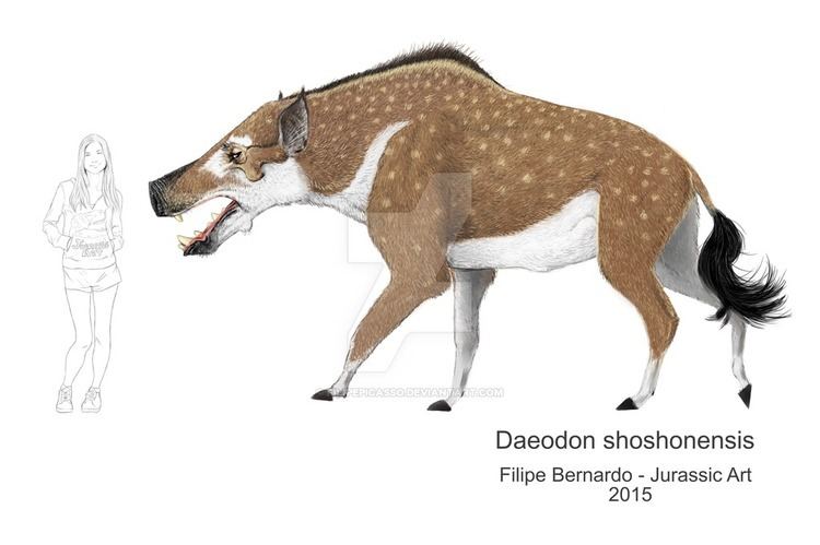 Daeodon Daeodon Facts and Pictures