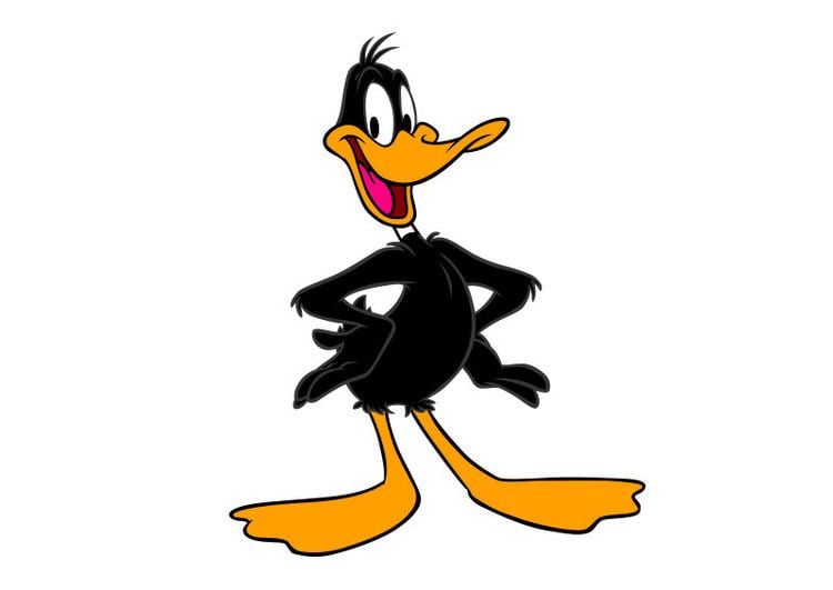 Daffy Duck Daffy Duck Vector